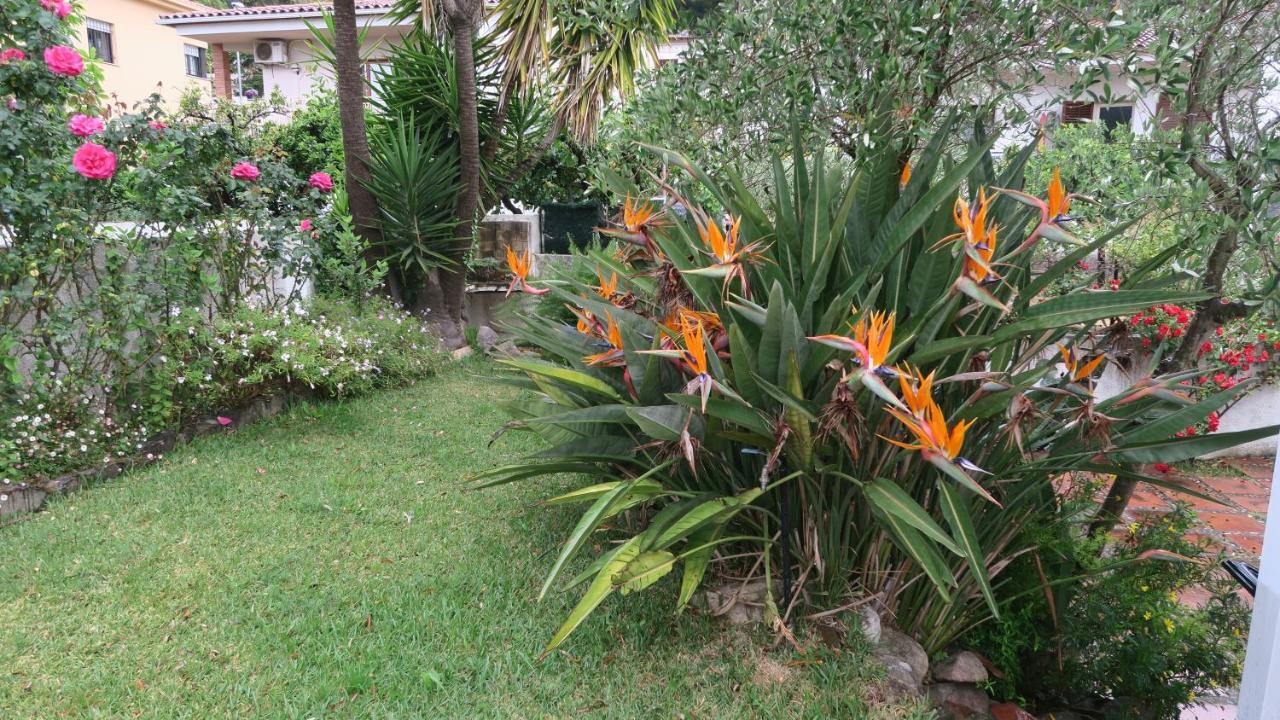 Ca L' Angelina Villa Calonge  Ngoại thất bức ảnh